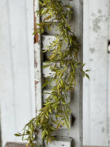 Smilax Garland
