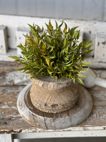 Smilax Half Orb