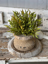 Smilax Half Orb