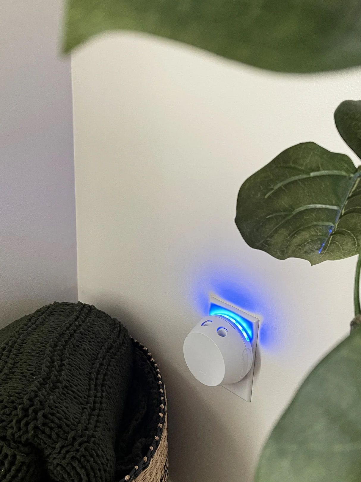 Pura + Bridgewater Smart Home Diffuser Set
