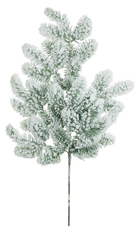 Snow Noble Pine Branch