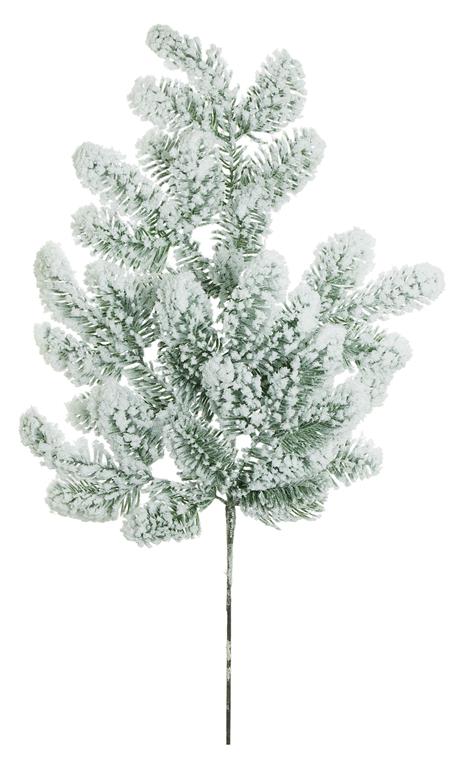 Snow Noble Pine Branch