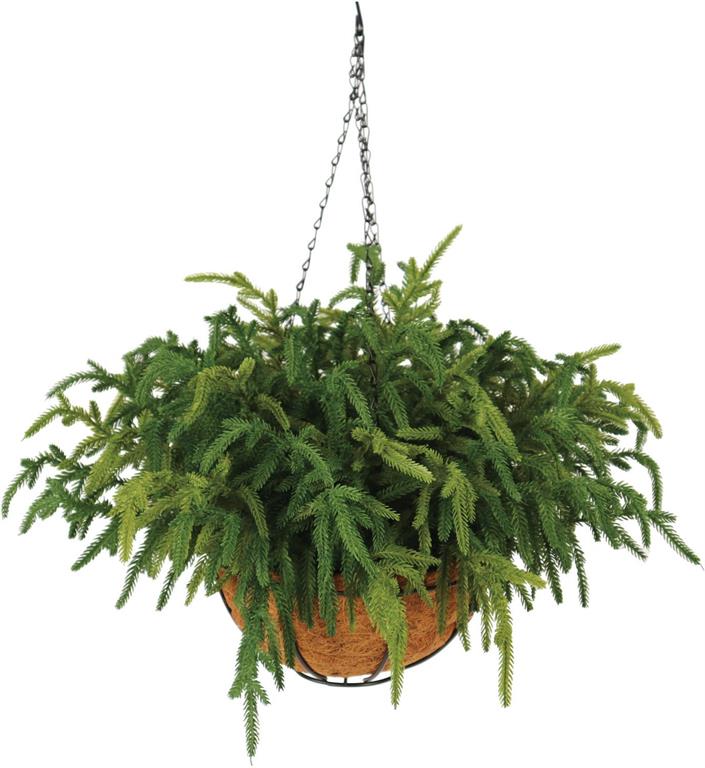 18" Pine Hanging Basket