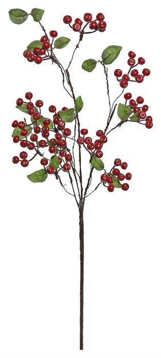 Red Hawthorn Berry Spray