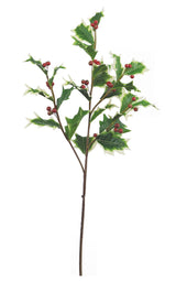 Variegated Burford Holly Spray