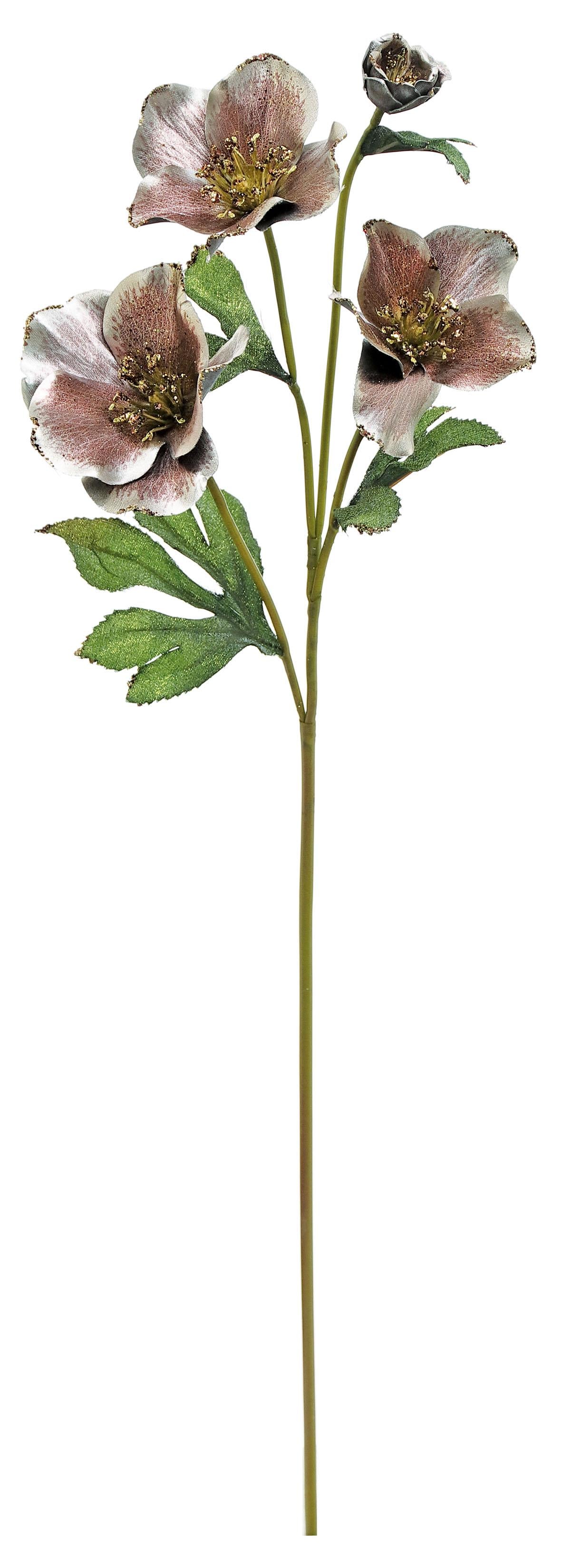 Mauve Christmas Rose Spray