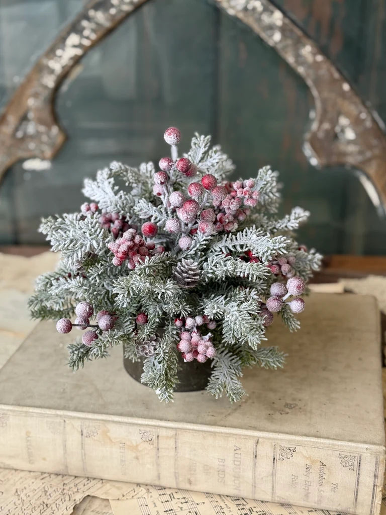 Snowspell Fir Half Sphere