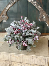 Snowspell Fir Half Sphere