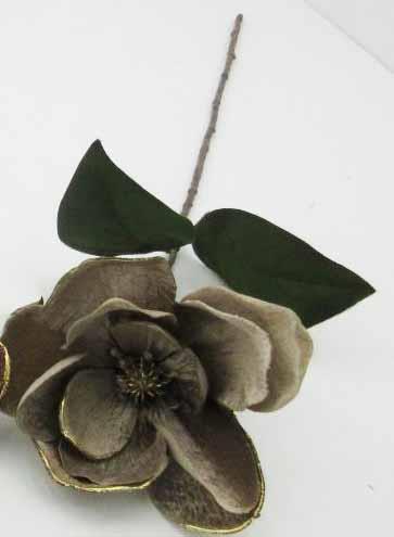 Velvet Mocha Magnolia With Gold Edge