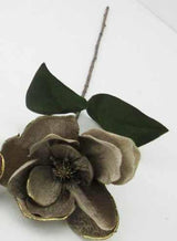 Velvet Mocha Magnolia With Gold Edge