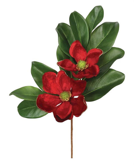 Red Velvet Magnolia Pick