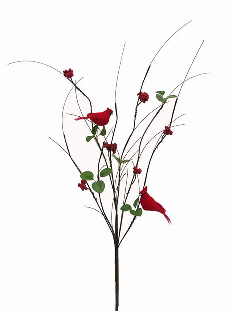 Red Snowy Twig, Berry & Cardinal Branch