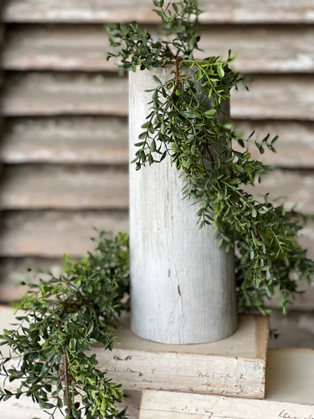 6' New England Boxwood Garland