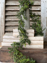 6' New England Boxwood Garland