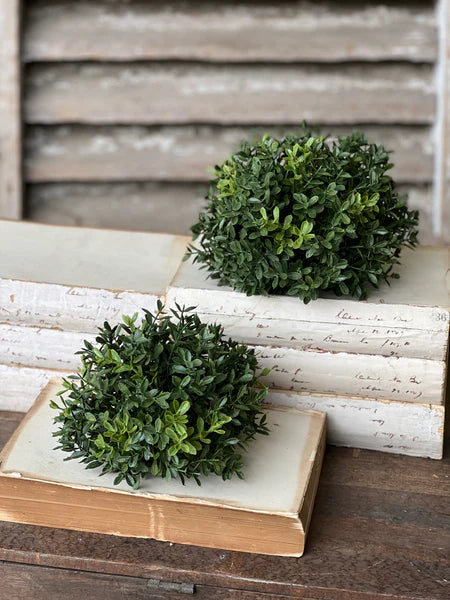New England Boxwood Half Sphere