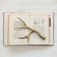 Cast Iron Antler