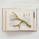 Cast Iron Antler