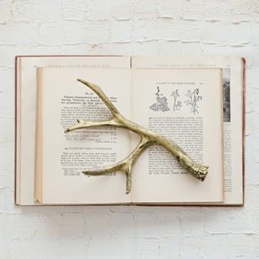 Cast Iron Antler