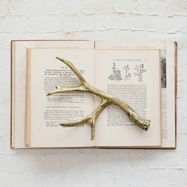 Cast Iron Antler