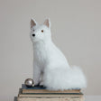 Arctic Fox Friend