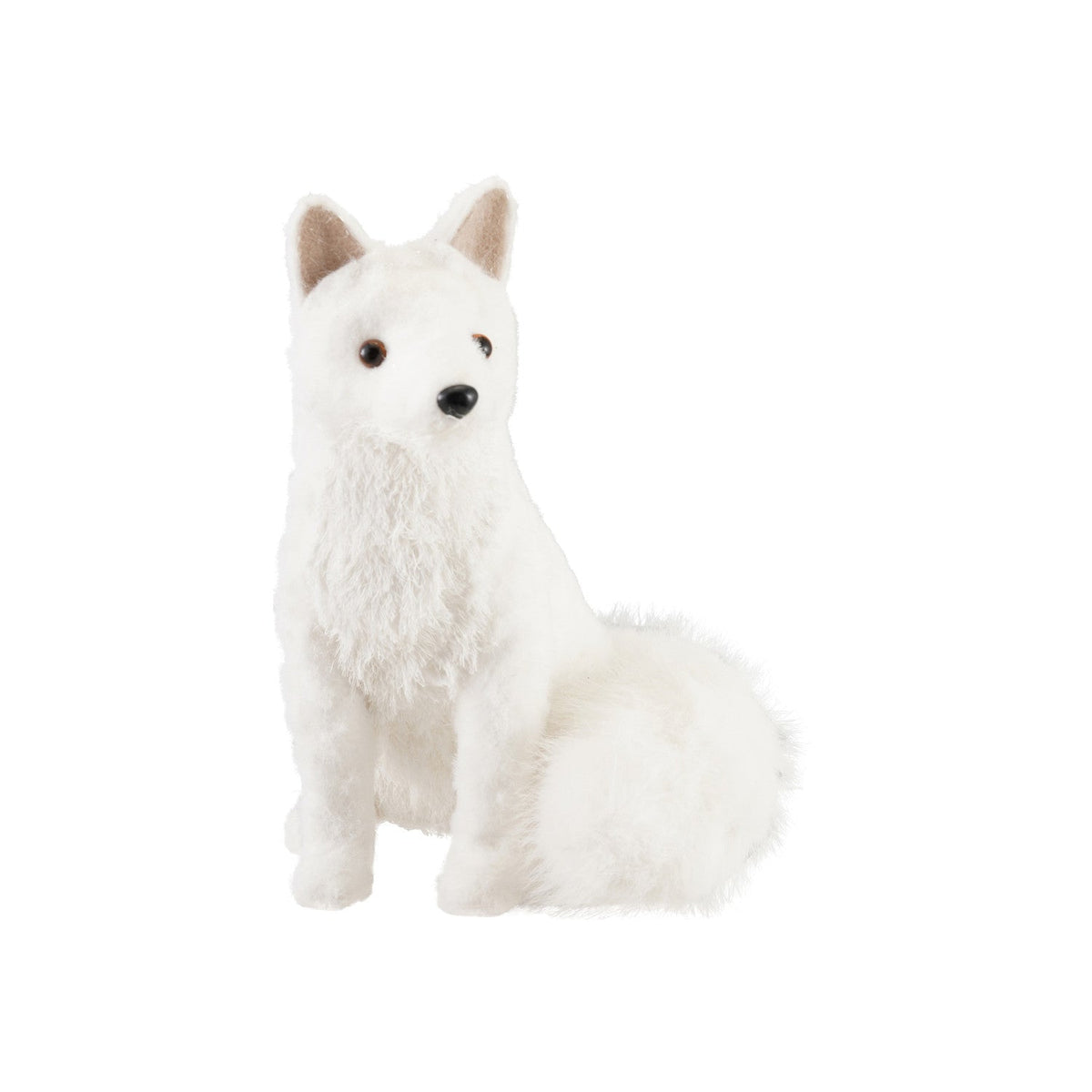 Arctic Fox Friend