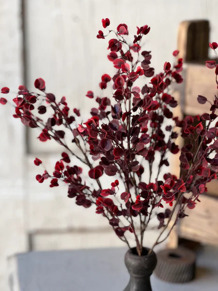 Rushing Red Leaves Bush