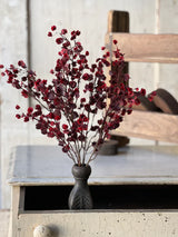 Rushing Red Leaves Bush