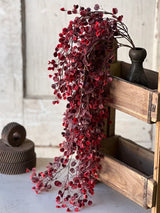 Rushing Red Leaves Hanging Stem