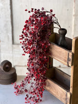 Rushing Red Leaves Hanging Stem