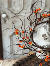 4" Wild Vine Bittersweet Candle Ring