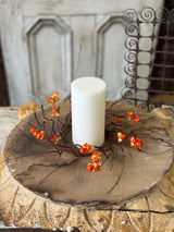 4" Wild Vine Bittersweet Candle Ring