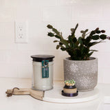 Amber & Emerald Candle - 2 Sizes