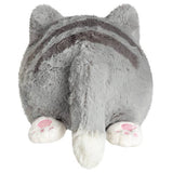Grey Kitty Plush Mini Squishable