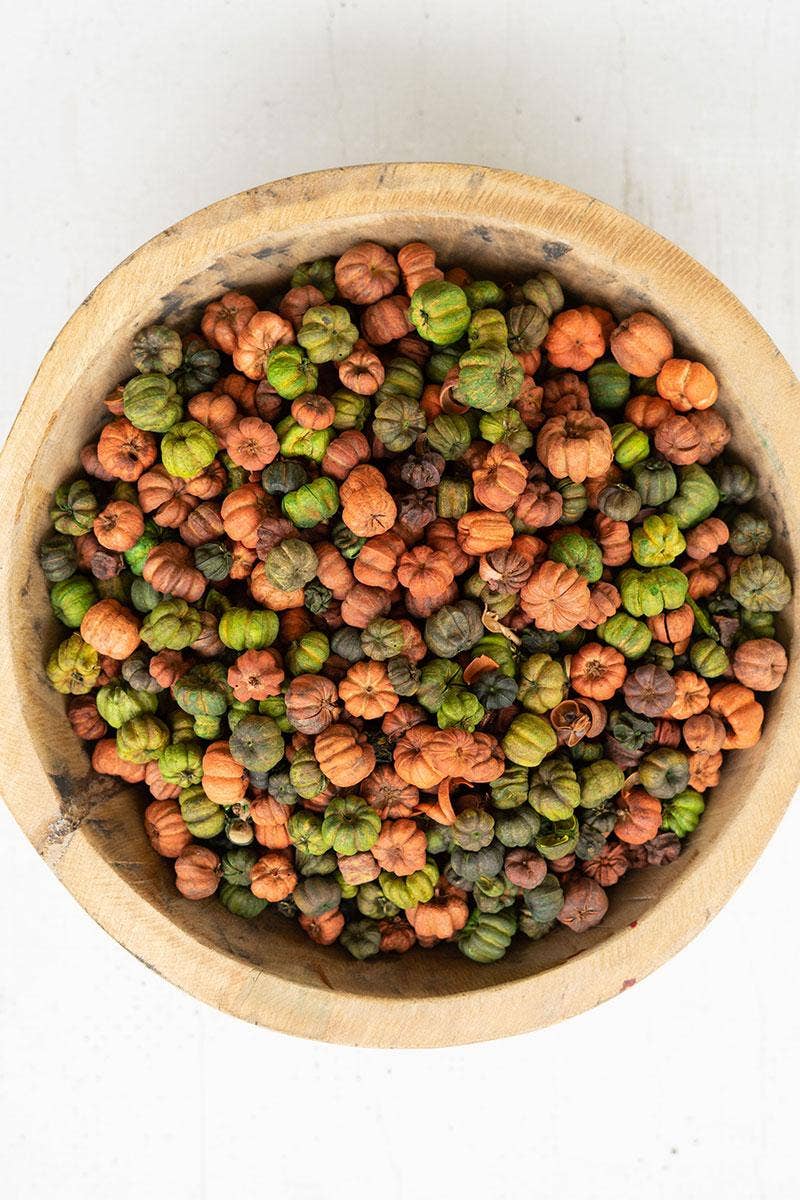 Orange & Green Putka Pods Bag