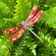Copper Enamel Dragonflies