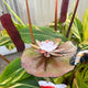 Copper & White Lilypad