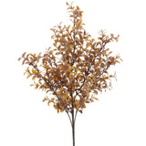 Leather Tea Leaf Bush