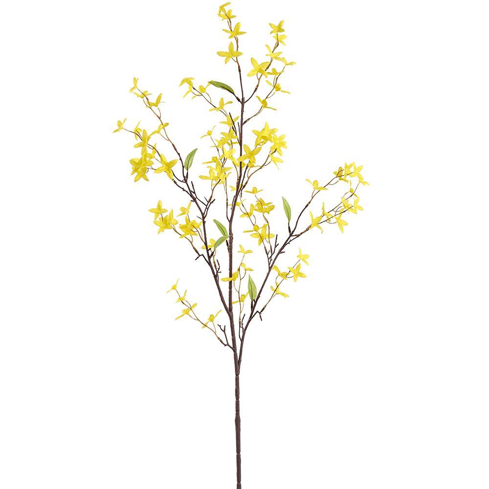 Yellow Forsythia Spray