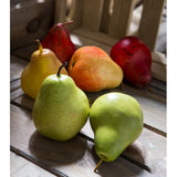 Artificial Weighted Bartlett Pear
