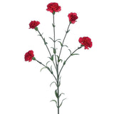 Red Mini Carnation Spray