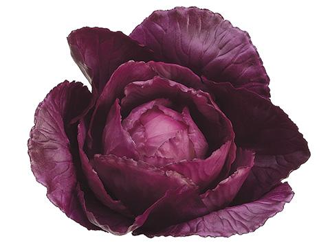 Purple Artificial Baby Cabbage
