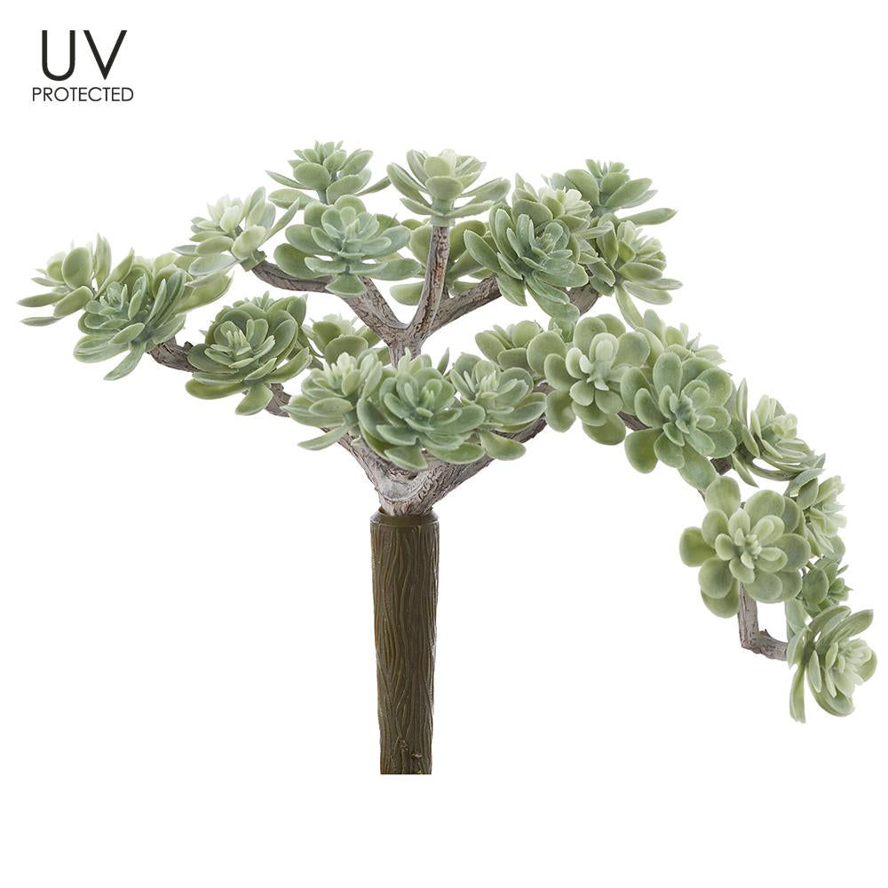 UV Protect Green Sedum Pick
