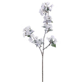 Snow Quince Blossom Spray