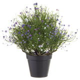 UV Protect Mini Purple Flower Plant
