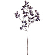 Purple Rosehip Spray