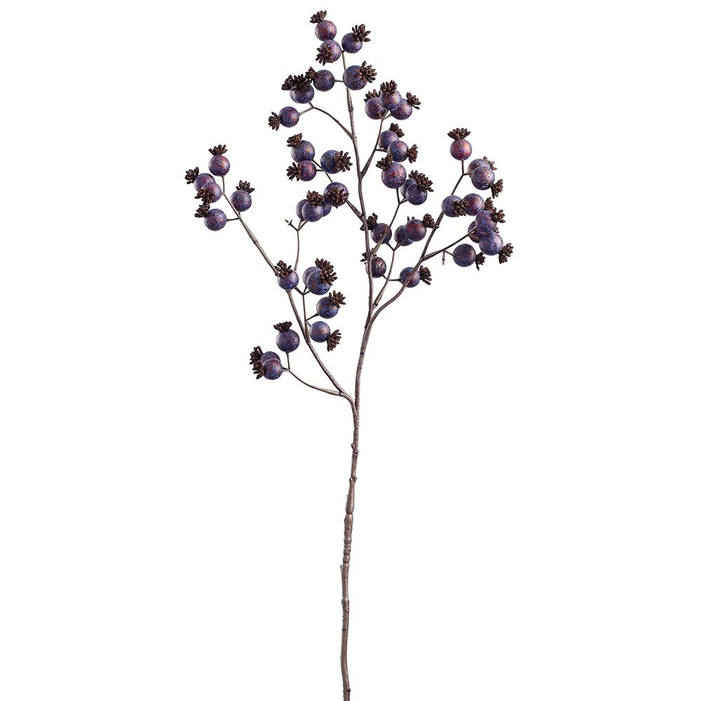 Purple Rosehip Spray