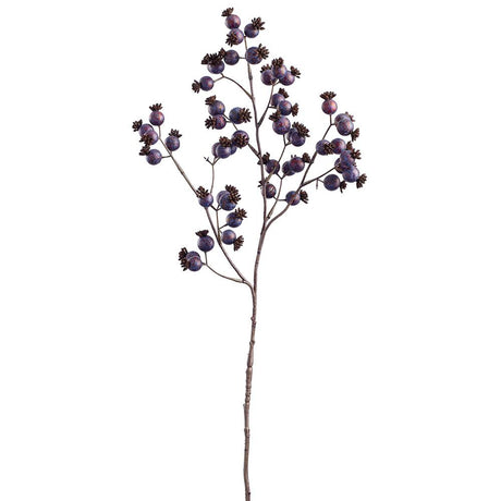 Purple Rosehip Spray
