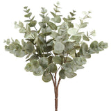 Natural Beauty Eucalyptus Bush