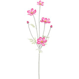Pink Beauty Cosmos Spray