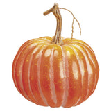 Orange Pumpkin
